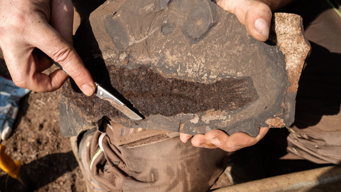 Fund bei einer Grabung