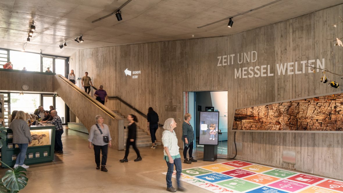 Foyer Museum Grube Messel